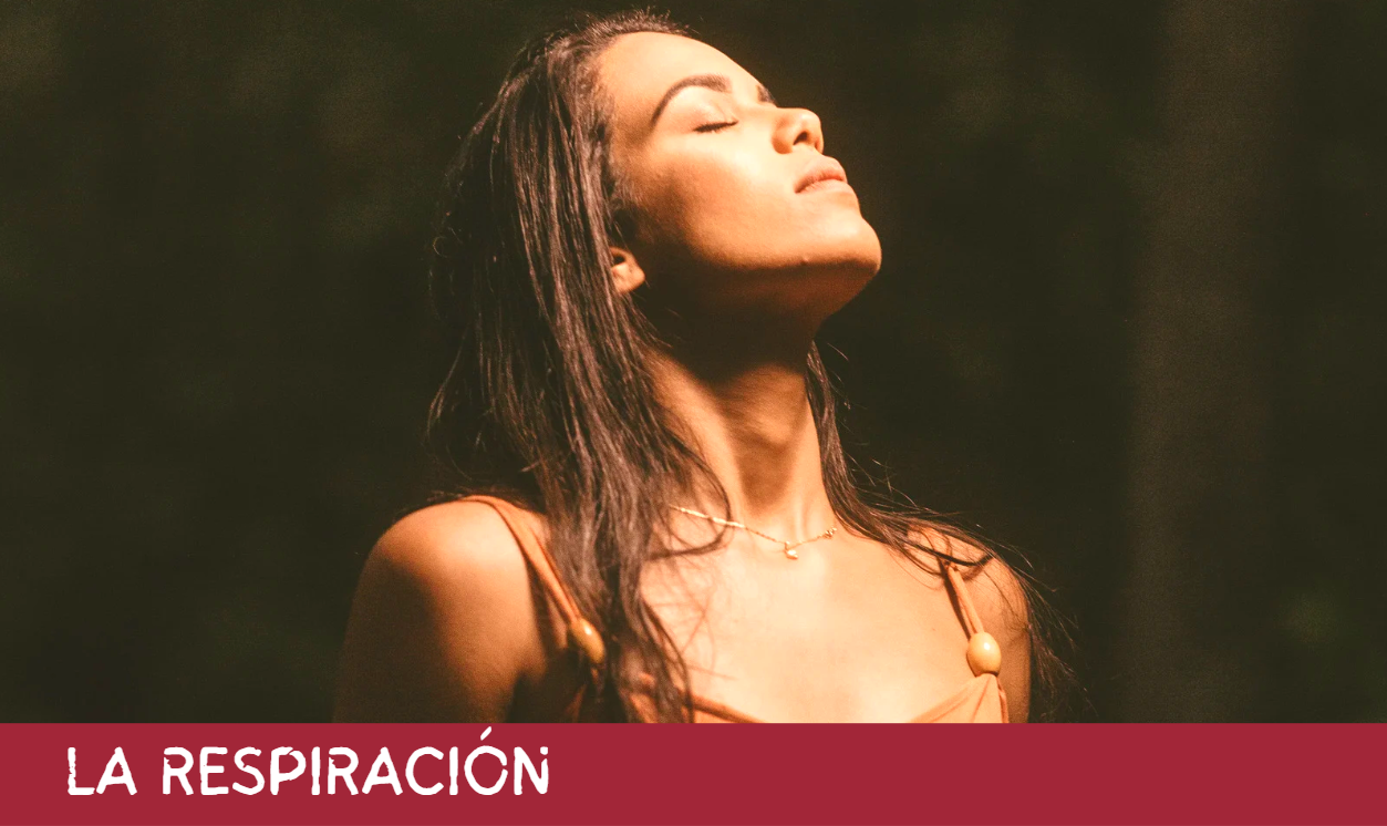 la respiracion la respiracion