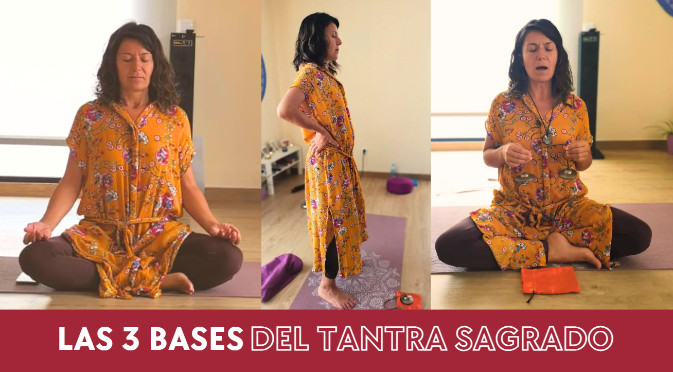 las 3 bases las 3 bases